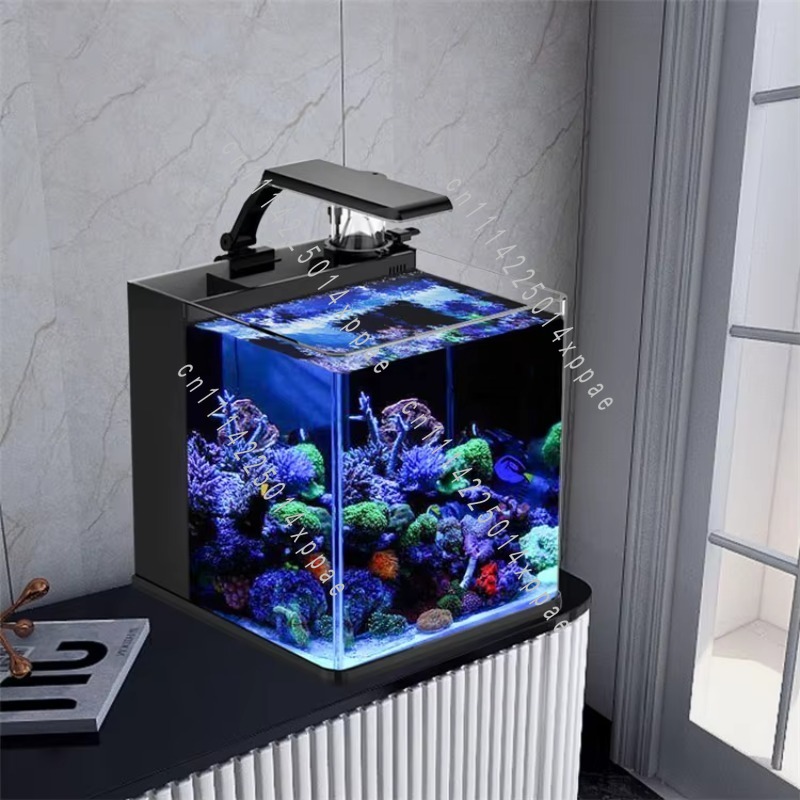 Aquarium Marine Salt - حوض أسماك بحري صغير من الزجاج