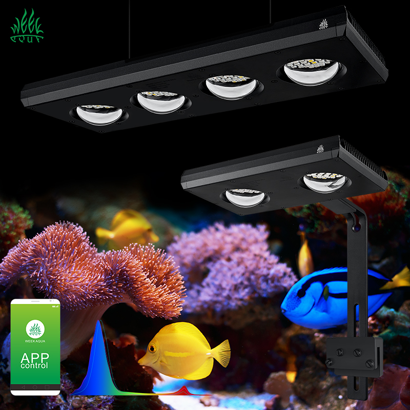 Marine Aquarium For Sale - ZXY رائجة البيع WEEKAQUA Z250 Z400sea