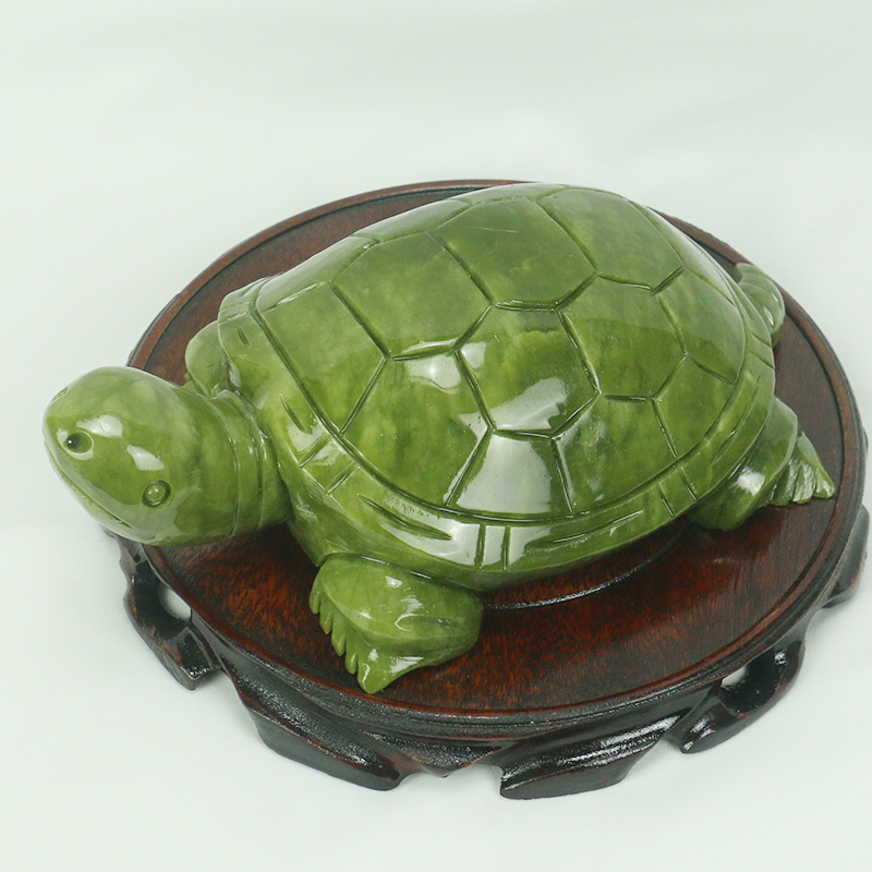 اليشم الطبيعي/السلحفاة النحت/د - مراجعة Marine Aquarium For Sale وسعره