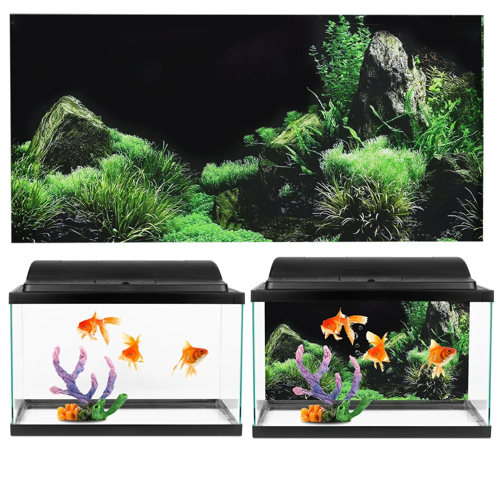 خلفية ل حوض السمك ملصق ثلاثية  - مراجعة Marine Aquarium For Sale وسعره