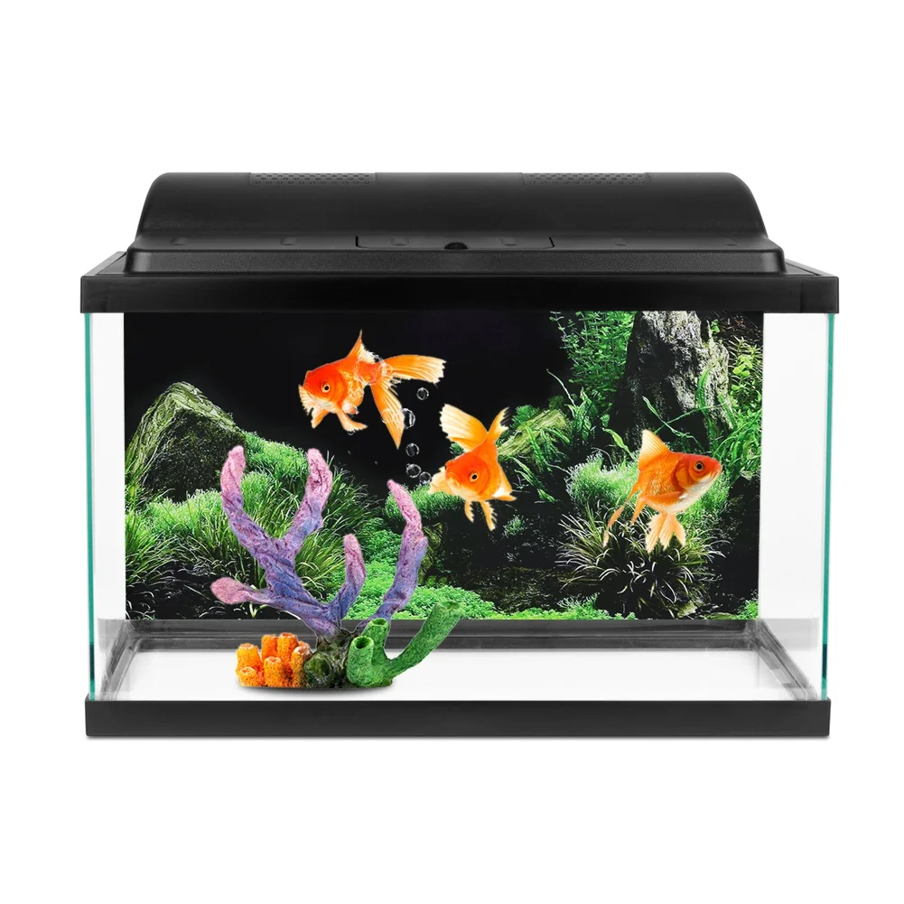 خلفية ل حوض السمك ملصق ثلاثية  - مراجعة Marine Aquarium For Sale وسعره
