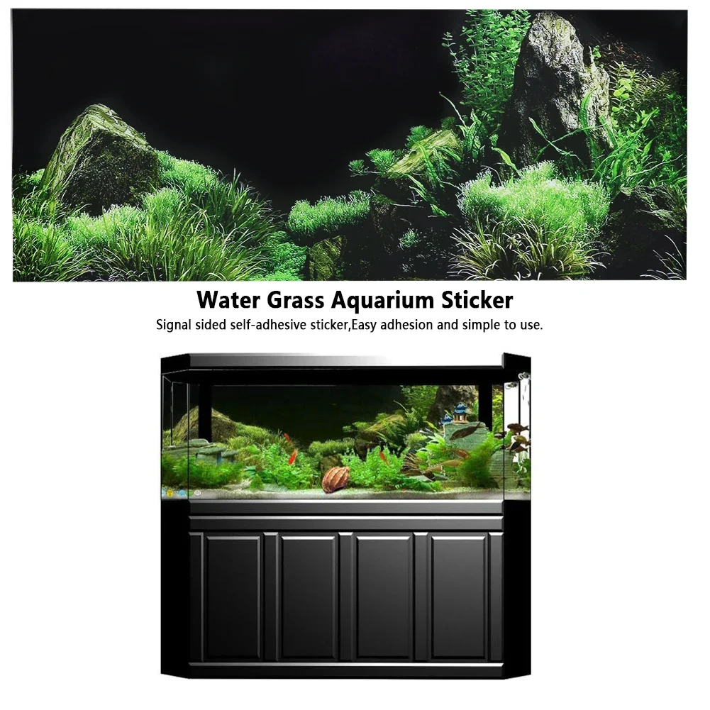 خلفية ل حوض السمك ملصق ثلاثية  - مراجعة Marine Aquarium For Sale وسعره