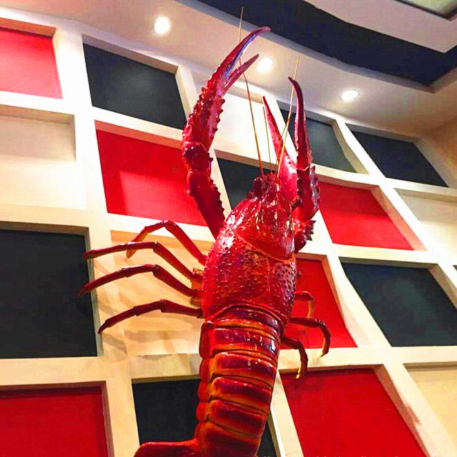 تمثال جمبري لامع من الألياف ال - مراجعة Marine Aquarium For Sale وسعره
