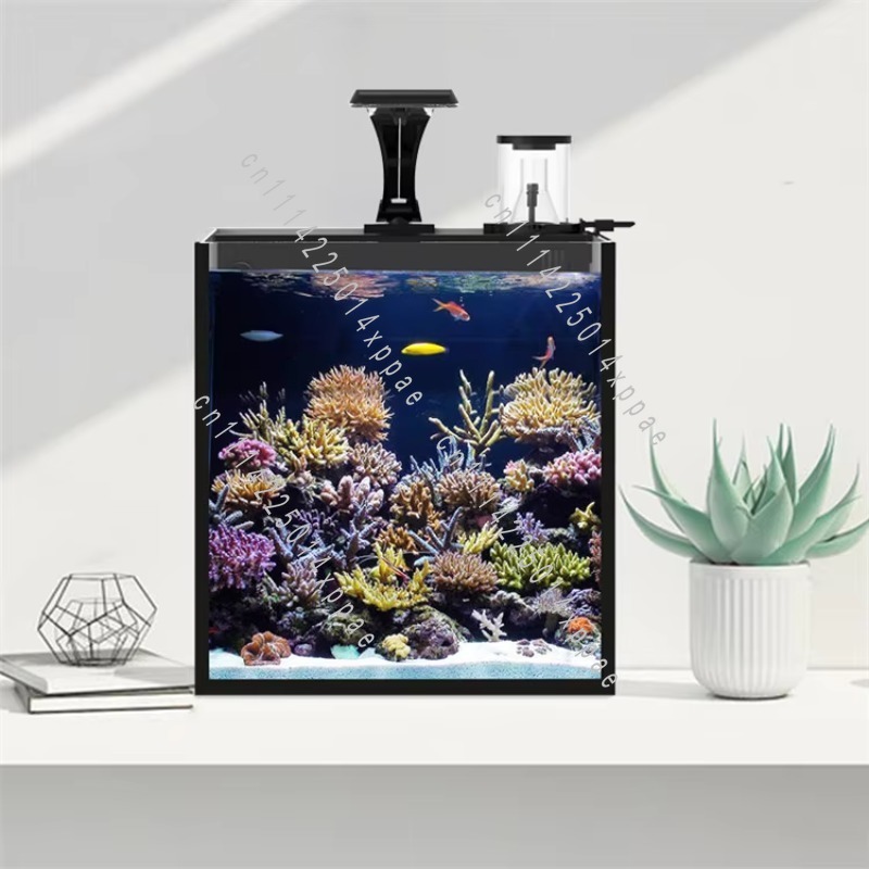 حوض أسماك بحري صغير من الزجاج  - مراجعة Aquarium Marine Salt وسعره