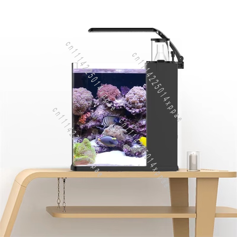 حوض أسماك بحري صغير من الزجاج  - مراجعة Aquarium Marine Salt وسعره
