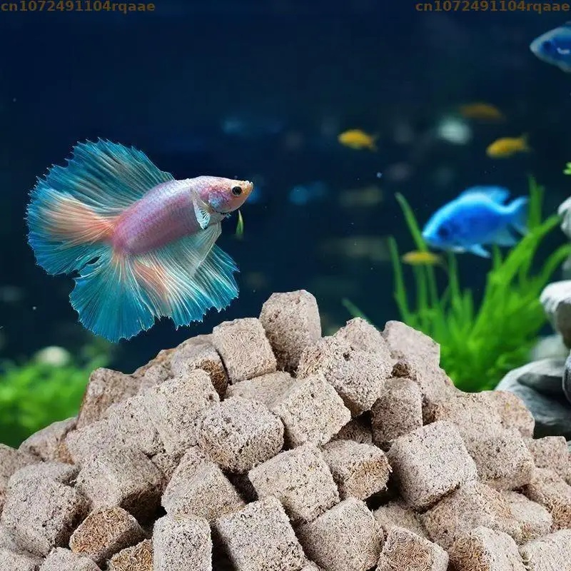 مكعبات ديدان الدم المجففة بالت - مراجعة Marine Aquarium Cube وسعره