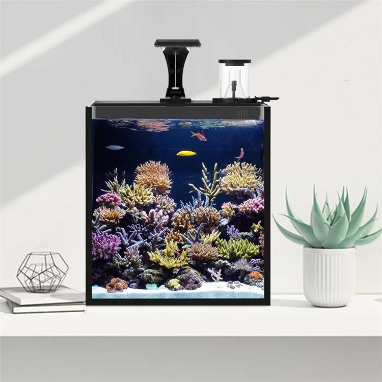 أحدث نموذج من الزجاج الشفاف لخ - مراجعة Aquarium Marine Salt وسعره
