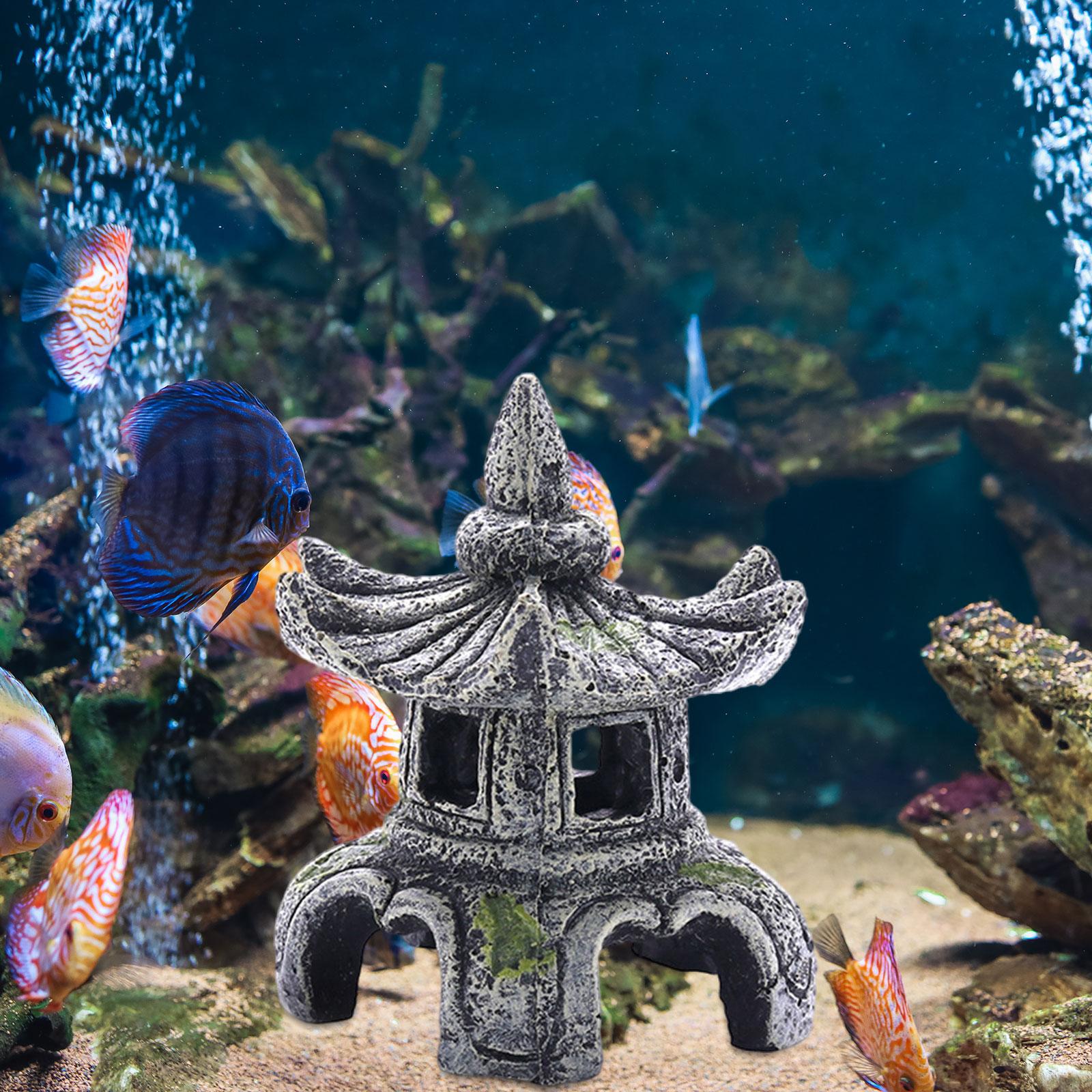 زخرفة مصباح حجر الحوض ، زخرفة  - مراجعة Marine Aquarium For Sale وسعره