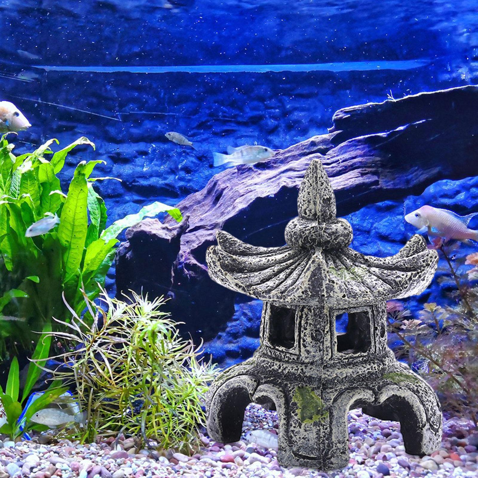 زخرفة مصباح حجر الحوض ، زخرفة  - مراجعة Marine Aquarium For Sale وسعره