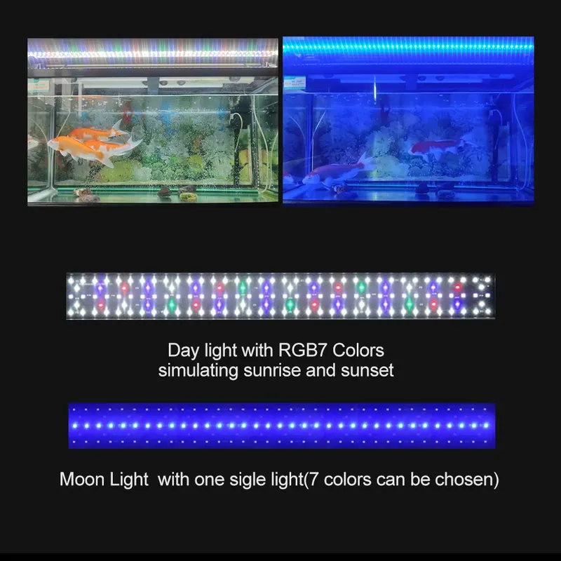 إضاءة حوض السمك SIROKA عالية ا - مراجعة Marine Aquarium Hours وسعره