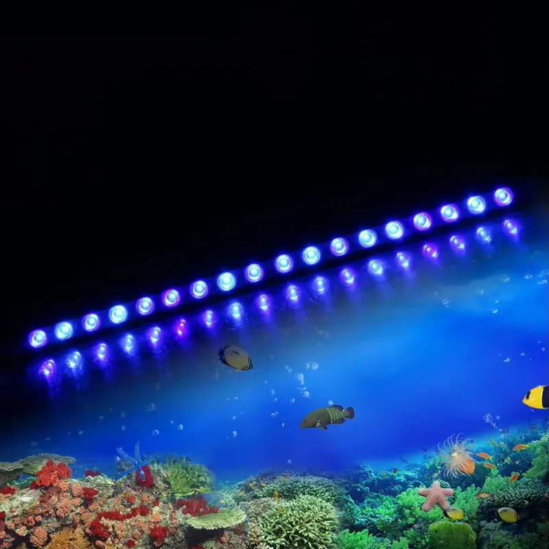 إضاءة LED قابلة للتعتيم مع مؤق - مراجعة Marine Aquarium Hours وسعره