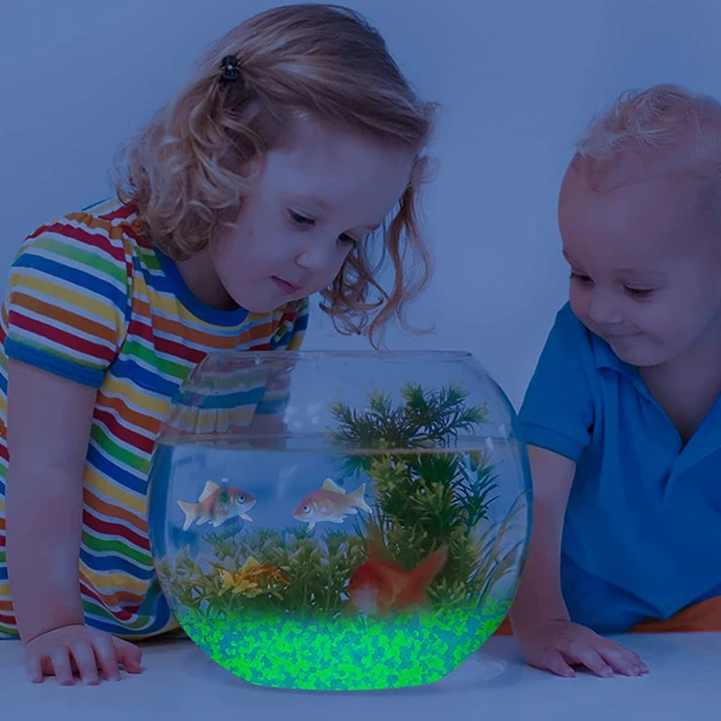 حصى رمال مضيئة في الظلام ، من  - مراجعة Aquarium Marine Sand وسعره