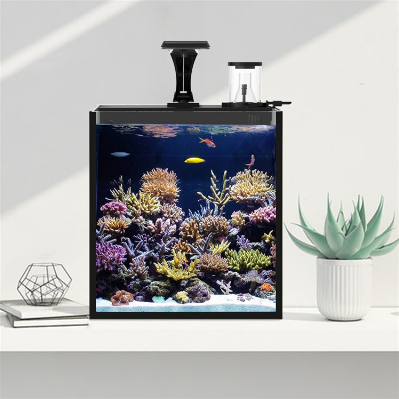 حوض أسماك بحري صغير من الزجاج  - مراجعة Aquarium Marine Salt وسعره