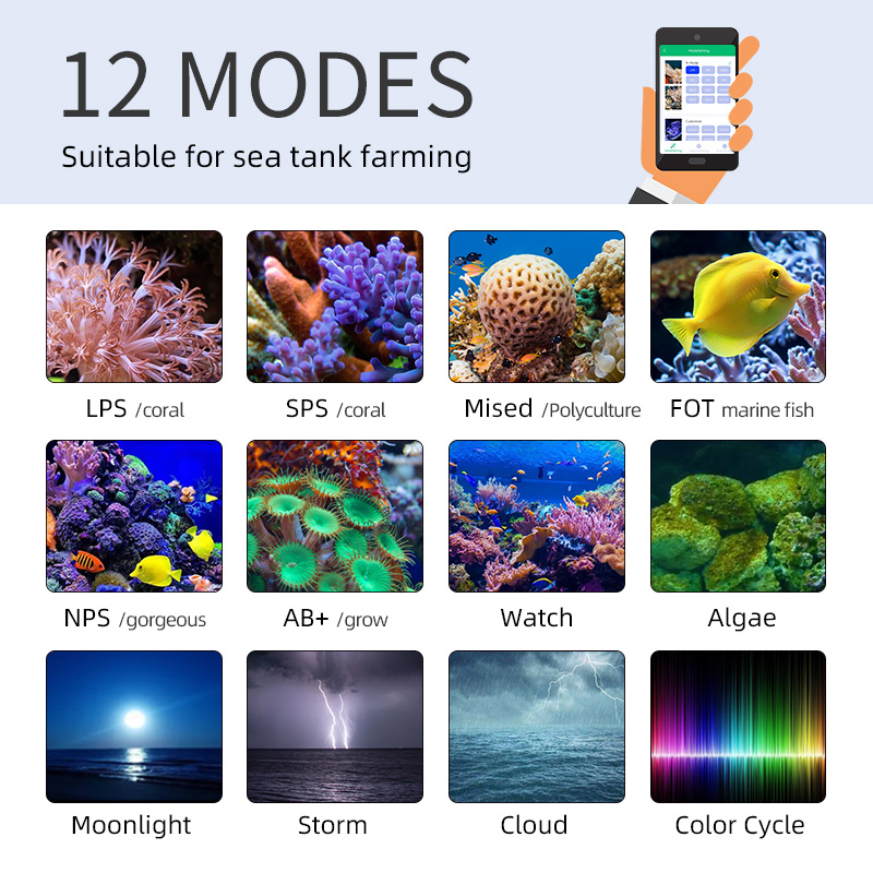 ZXY رائجة البيع WEEKAQUA Z250  - مراجعة Marine Aquarium For Sale وسعره