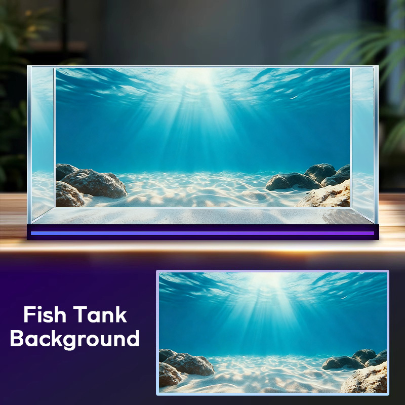 رمل بحري أزرق شفاف، لوحة خلفية - مراجعة Aquarium Marine Sand وسعره