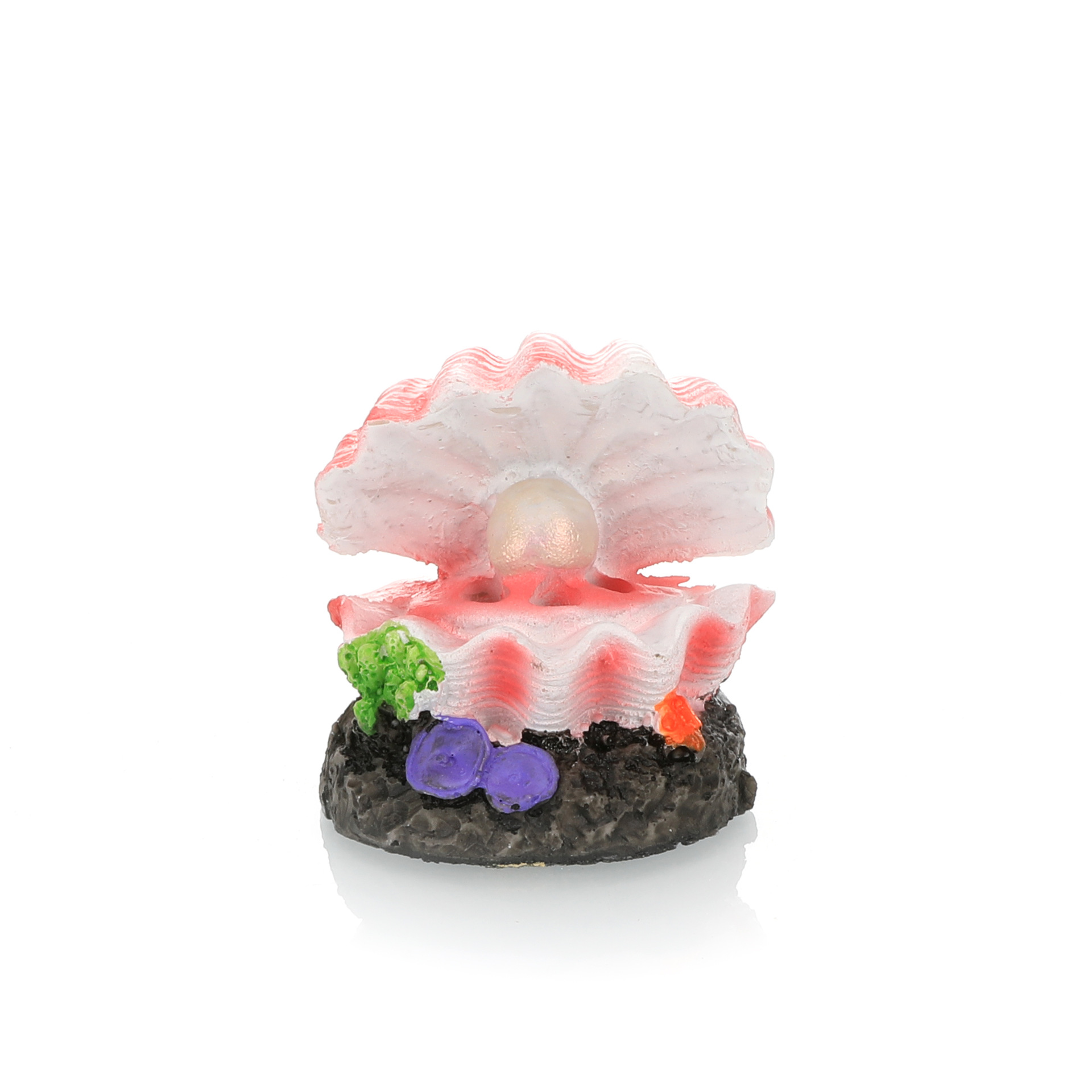 خزان الأسماك المناظر الطبيعية  - مراجعة Marine Aquarium For Sale وسعره