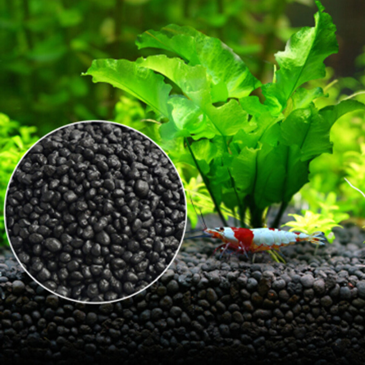 نباتات أحواض السمك ، التربة ،  - مراجعة Aquarium Marine Sand وسعره