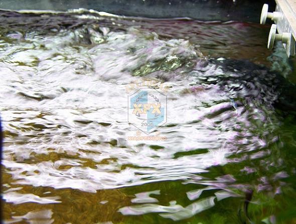 أحدث مضخة صانع الانتحار Sunsun - مراجعة Aquarium Marine Salt وسعره
