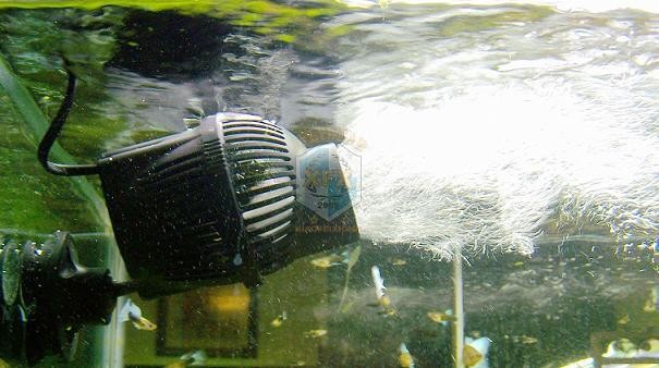 أحدث مضخة صانع الانتحار Sunsun - مراجعة Aquarium Marine Salt وسعره