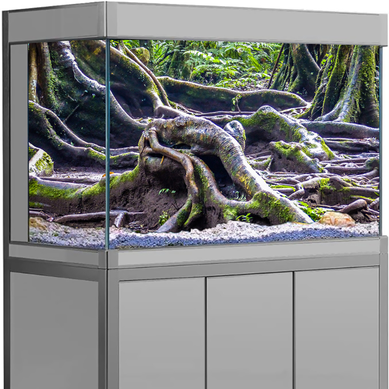 ملصق خلفية لحوض السمك، ديكور ث - مراجعة Marine Aquarium For Sale وسعره