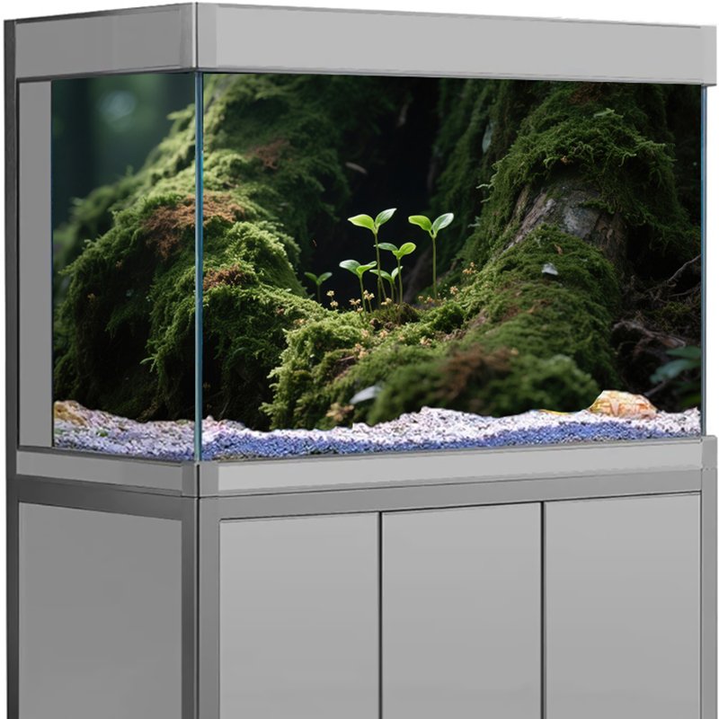 ملصق خلفية لحوض السمك، ديكور ث - مراجعة Marine Aquarium For Sale وسعره