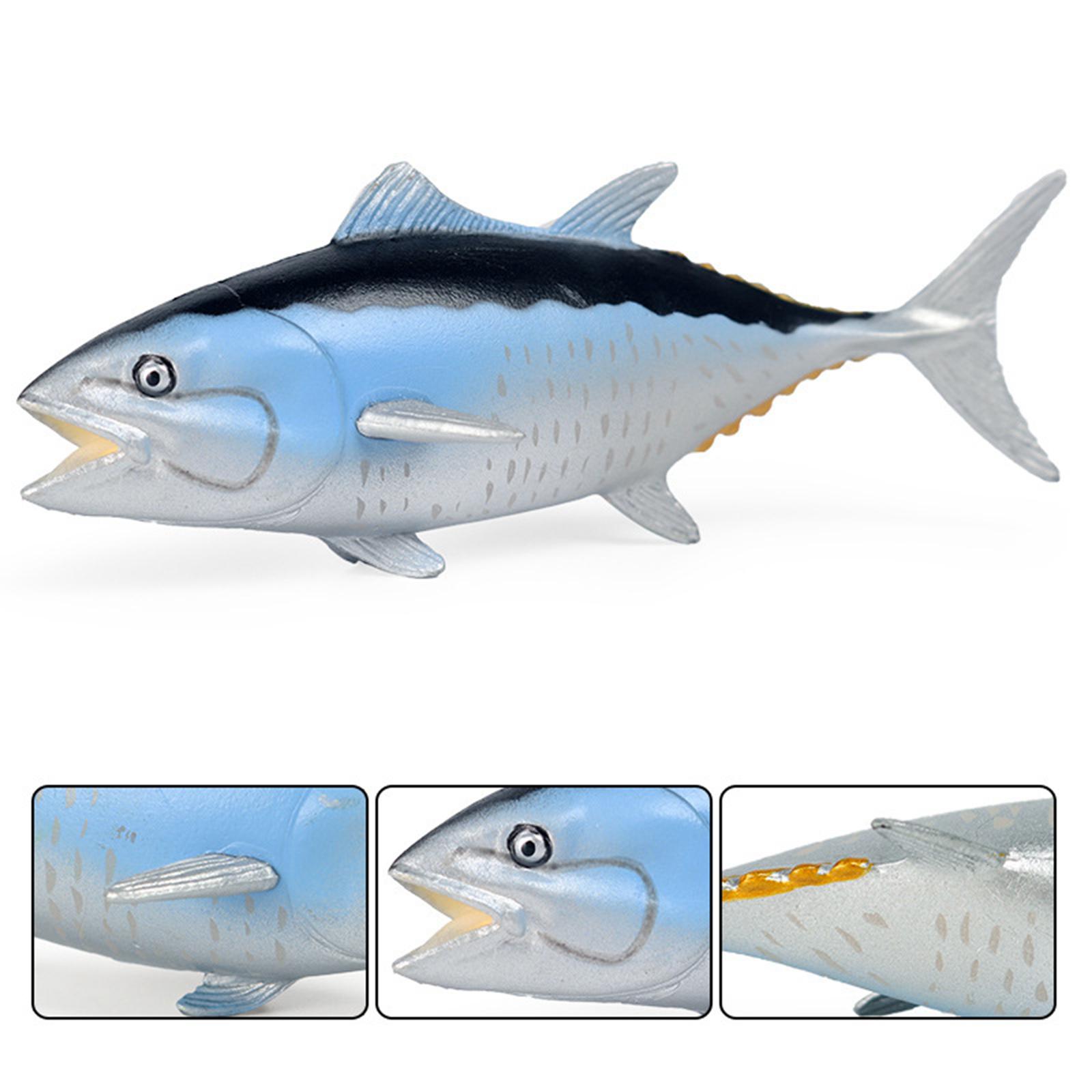 نموذج محاكاة للحيوانات البحرية - مراجعة Marine Zoo وسعره