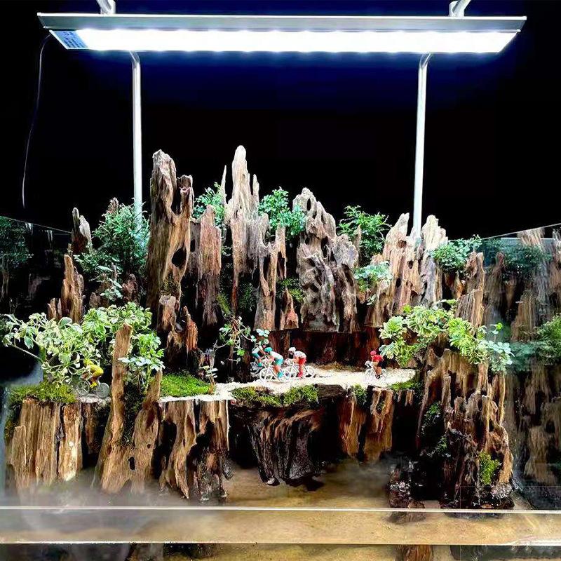 △   ديكور خشبي على شكل جمبري ل - مراجعة Marine Aquarium For Sale وسعره