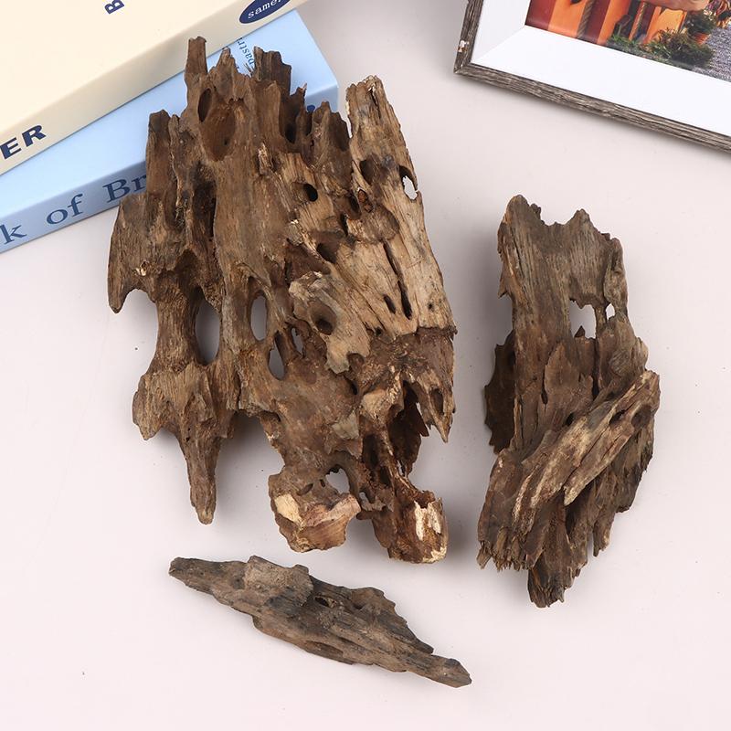△   ديكور خشبي على شكل جمبري ل - مراجعة Marine Aquarium For Sale وسعره